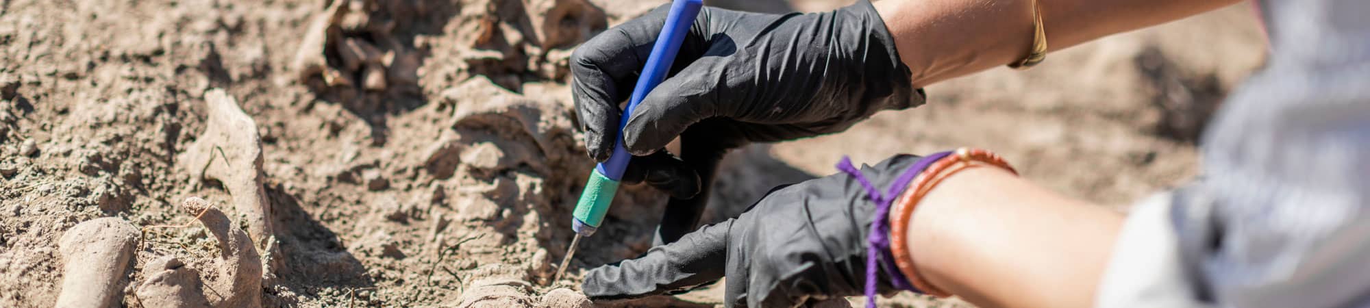 Archaeologist working at Cheshire dig site
